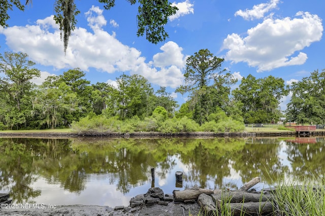10524 Rutgers Rd, Jacksonville, FL 32218 - photo 41