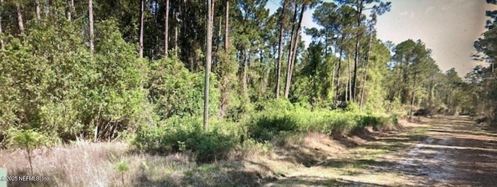 216 2nd St, Georgetown, FL 32139 - photo 1