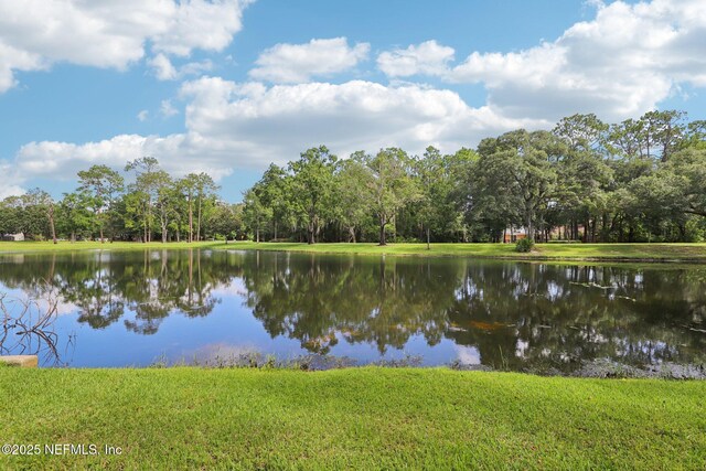 1778 Long Slough Walk, Fleming Island, FL 32003 - photo 44