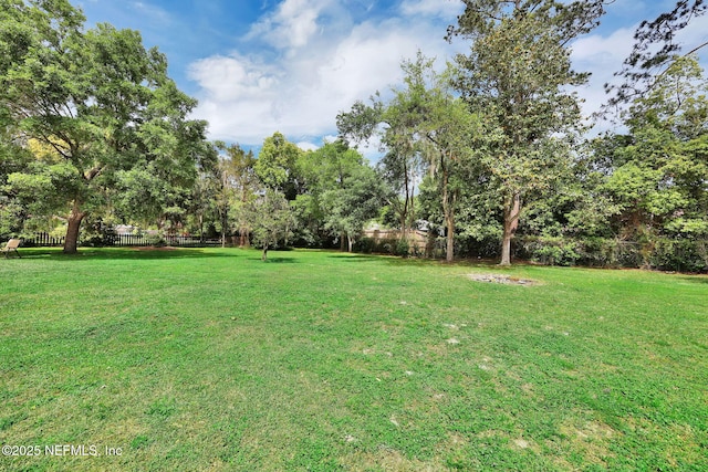 11707 Village Ln, Jacksonville, FL 32223 - fenced backyard with view of wooded area