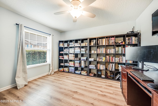 250 Gilmore Ln, Orange Park, FL 32065 - photo 6