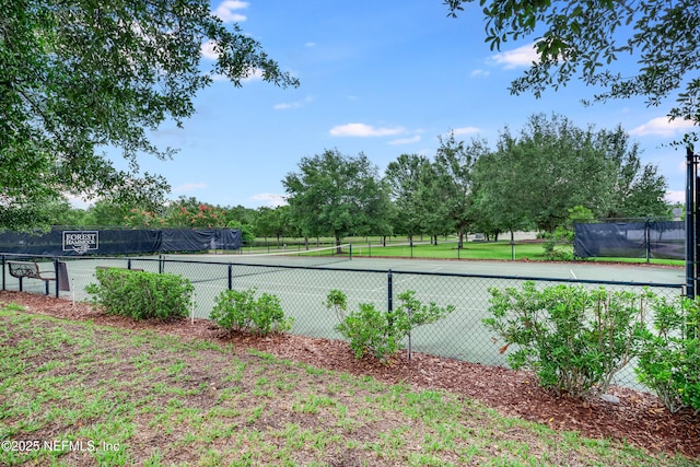 250 Gilmore Ln, Orange Park, FL 32065 - photo 30