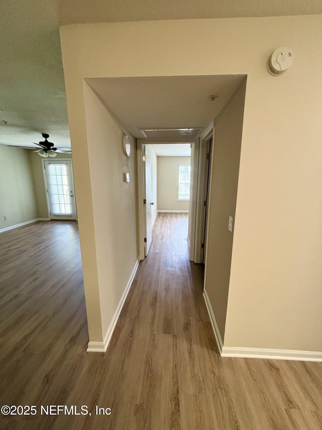 7701 Timberlin Park Blvd Unit 322, Jacksonville, FL 32256 - hall featuring wood finished floors and baseboards