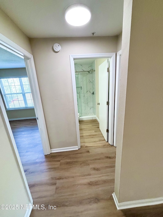 7701 Timberlin Park Blvd Unit 322, Jacksonville, FL 32256 - corridor with wood finished floors and baseboards