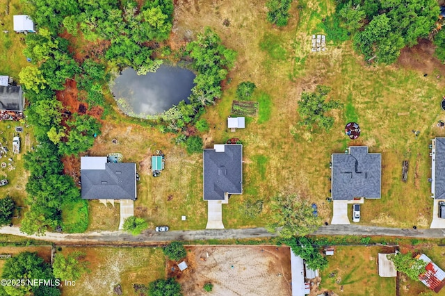 2074 Paloma Ct, Middleburg, FL 32068 - photo 12