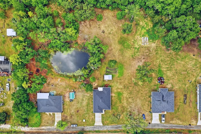 2074 Paloma Ct, Middleburg, FL 32068 - photo 13