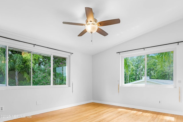 2810 Alvarado Ave, Jacksonville, FL 32217 - photo 20