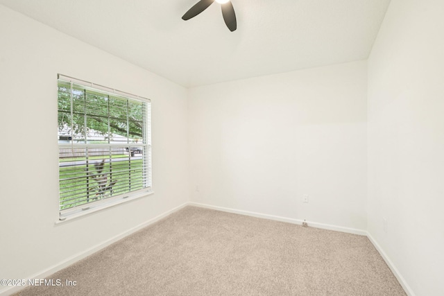 8761 Redleaf Ct, Jacksonville, FL 32244 - photo 9