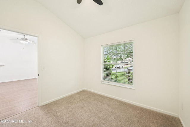 8761 Redleaf Ct, Jacksonville, FL 32244 - photo 10