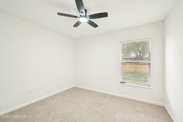 8761 Redleaf Ct, Jacksonville, FL 32244 - photo 23