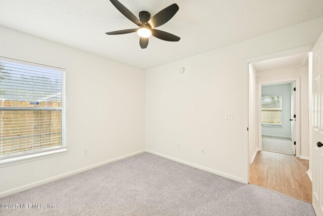 8761 Redleaf Ct, Jacksonville, FL 32244 - photo 24