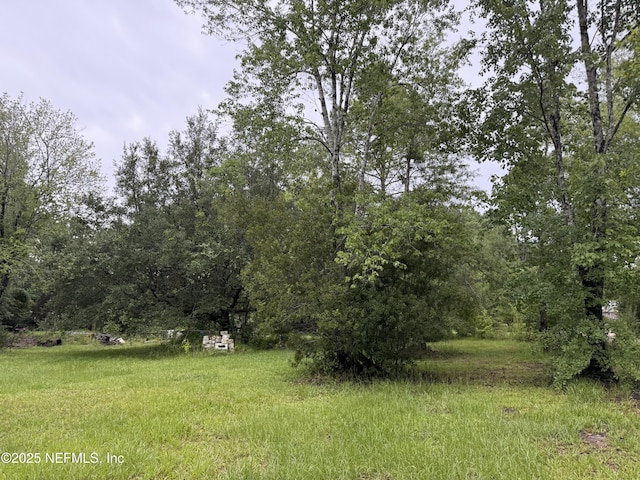 2304 Greenbrier Dr, Middleburg, FL 32068 - photo 2