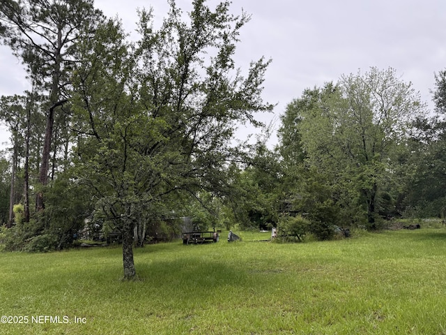 2304 Greenbrier Dr, Middleburg, FL 32068 - photo 3