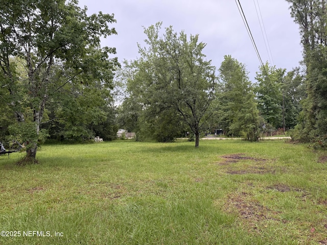2304 Greenbrier Dr, Middleburg, FL 32068 - photo 4