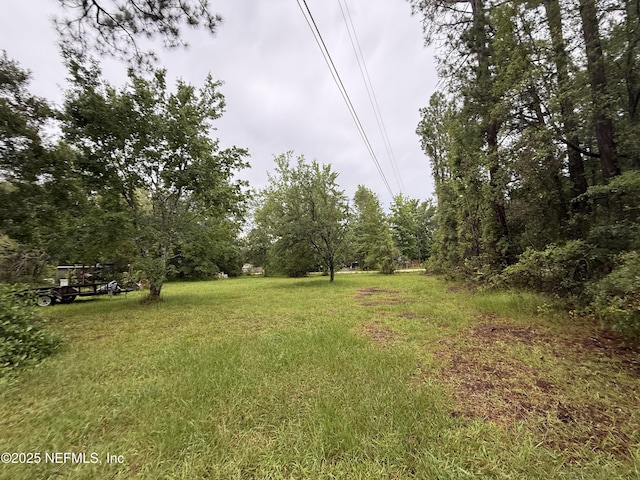 2304 Greenbrier Dr, Middleburg, FL 32068 - photo 5