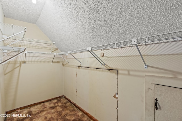 1083 Kings Rd, Neptune Beach, FL 32266 - spacious closet featuring carpet flooring and lofted ceiling