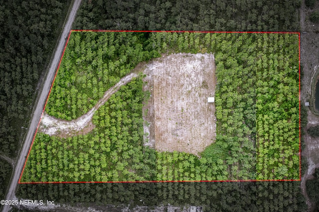 4370 Runaway Cove Rd, Hilliard, FL 32046