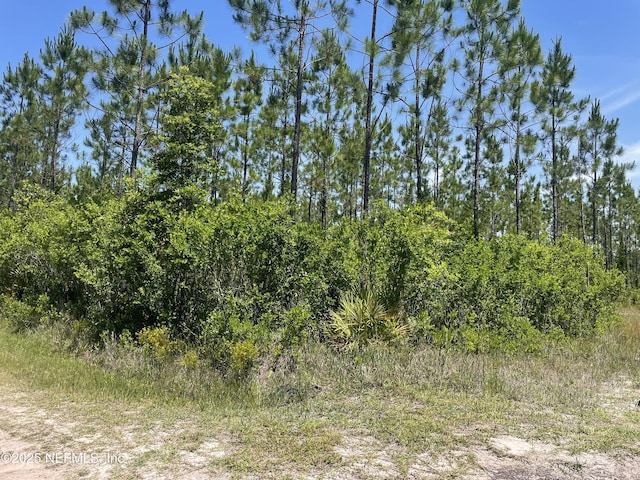 4370 Runaway Cove Rd, Hilliard, FL 32046