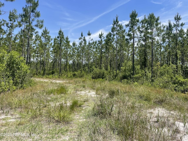 4370 Runaway Cove Rd, Hilliard, FL 32046