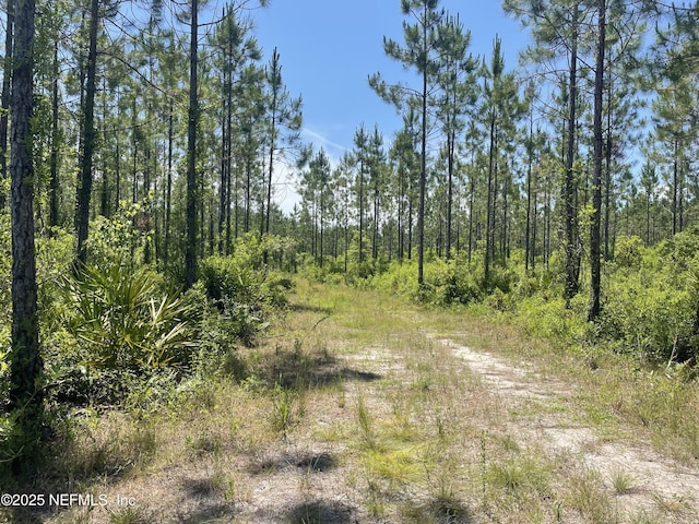 4370 Runaway Cove Rd, Hilliard, FL 32046