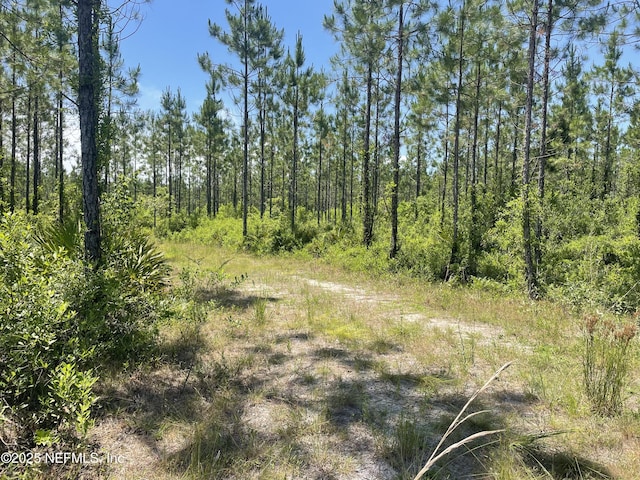 4370 Runaway Cove Rd, Hilliard, FL 32046