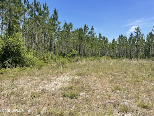 4370 Runaway Cove Rd, Hilliard, FL 32046
