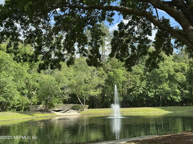 7701 Timberlin Park Blvd Unit 1635, Jacksonville, FL 32256 - photo 3
