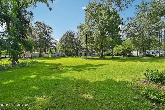 2259 Marlee Rd S, Jacksonville, FL 32259 - view of green lawn