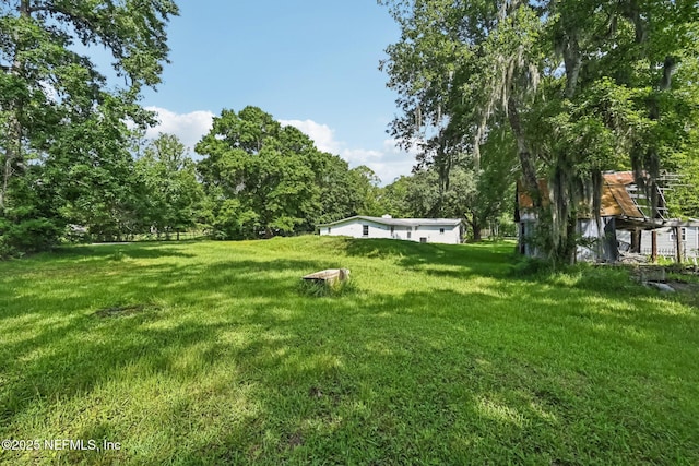 2259 Marlee Rd S, Jacksonville, FL 32259 - view of grassy yard