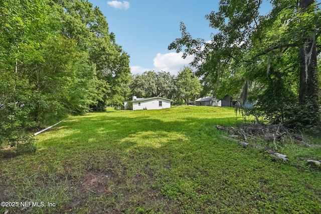2259 Marlee Rd S, Jacksonville, FL 32259 - view of green lawn