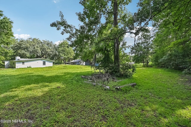 2259 Marlee Rd S, Jacksonville, FL 32259 - view of grassy yard