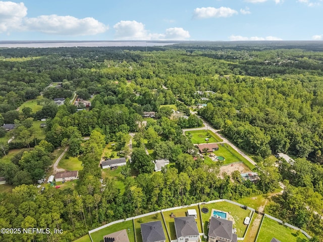 2259 Marlee Rd S, Jacksonville, FL 32259 - aerial view of property's location with a heavily wooded area and property parcel outlined
