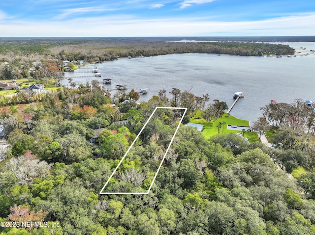 8515 Florence Cove Rd, Saint Augustine, FL 32092 - photo 5