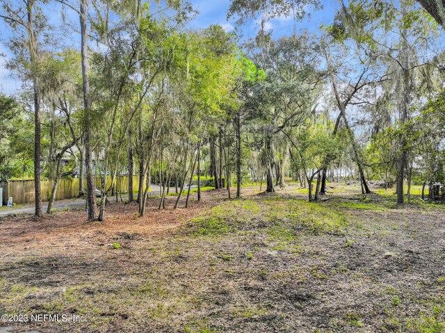 8515 Florence Cove Rd, Saint Augustine, FL 32092 - photo 11
