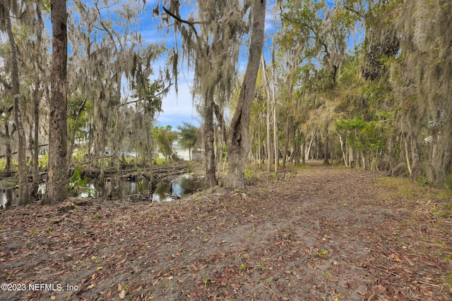 8515 Florence Cove Rd, Saint Augustine, FL 32092 - photo 12