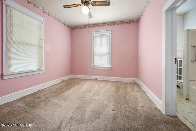 14 Hope St, Saint Augustine, FL 32084 - photo 7