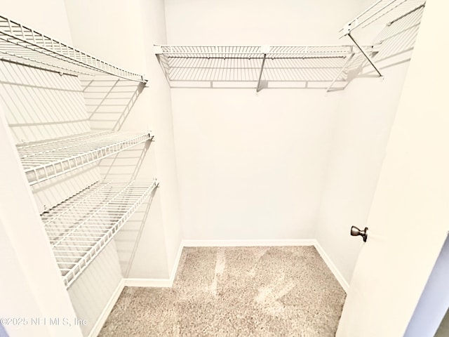 7628 Jana Ln S, Jacksonville, FL 32210 - photo 17