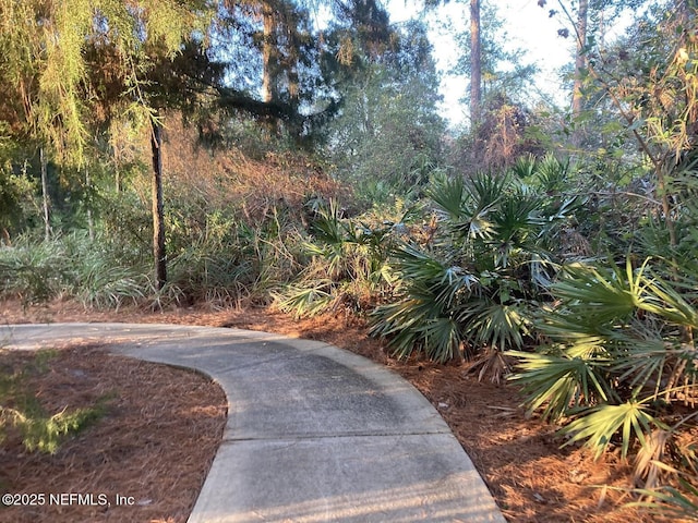1200 Springhealth Ct, Saint Augustine, FL 32092 - photo 46