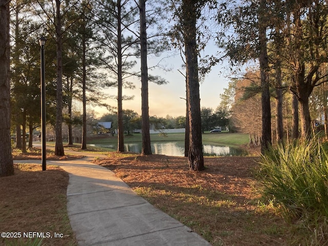 1200 Springhealth Ct, Saint Augustine, FL 32092 - photo 49