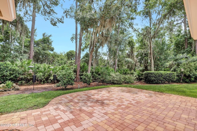 1994 Protection Pt, Fleming Island, FL 32003 - view of patio