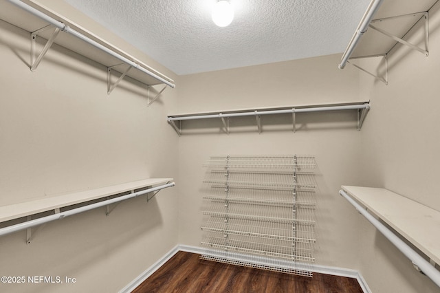 1994 Protection Pt, Fleming Island, FL 32003 - spacious closet featuring wood finished floors