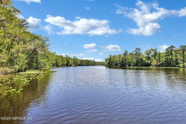 1994 Protection Pt, Fleming Island, FL 32003 - water view featuring a heavily wooded area