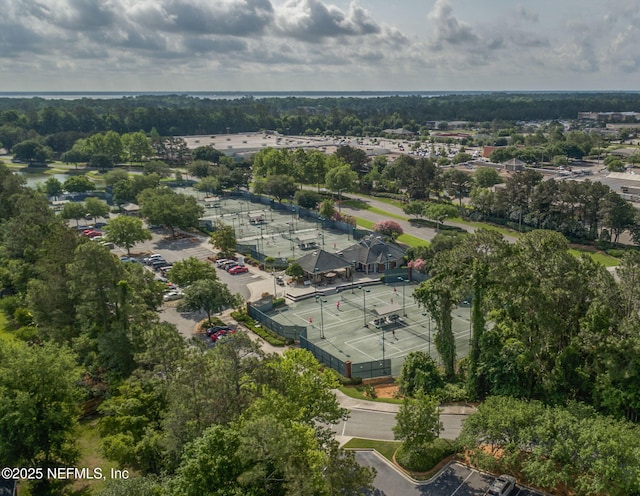 1994 Protection Pt, Fleming Island, FL 32003 - bird's eye view of a tree filled landscape