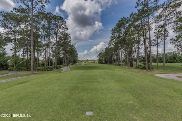 1994 Protection Pt, Fleming Island, FL 32003 - surrounding community featuring view of scattered trees, golf course view, and a lawn