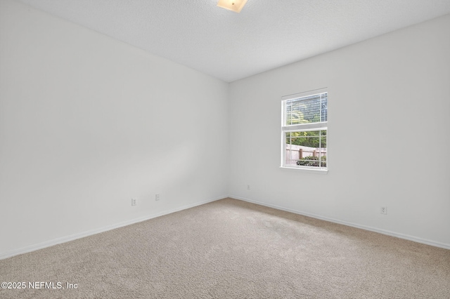 12401 Briarmead Ln, Jacksonville, FL 32258 - photo 25