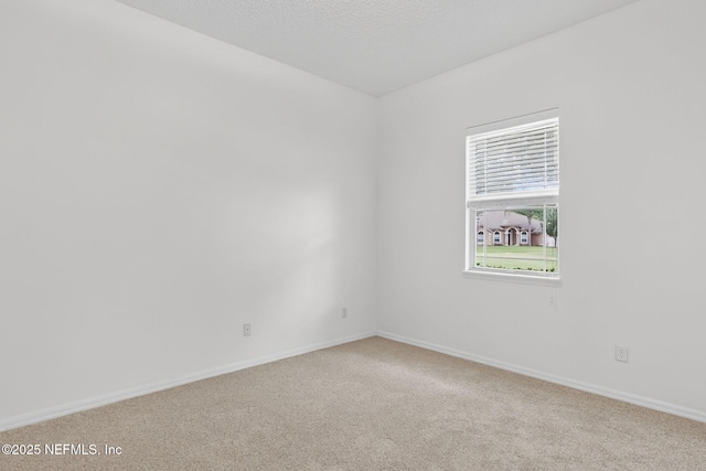 12401 Briarmead Ln, Jacksonville, FL 32258 - photo 28