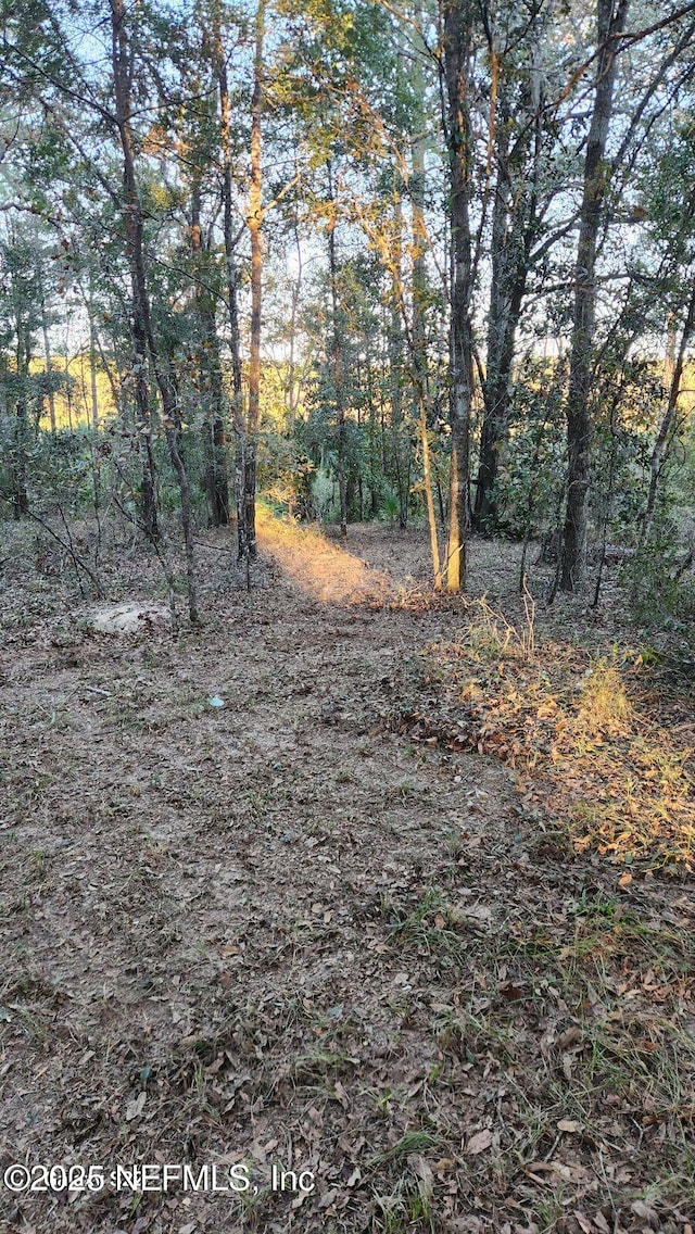 29077 Yellow Oak Ct, Hilliard, FL 32046