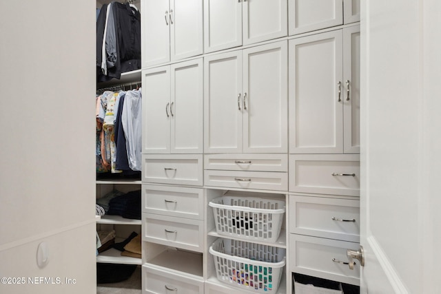 95196 Golden Glow Dr, Fernandina Beach, FL 32034 - view of walk in closet