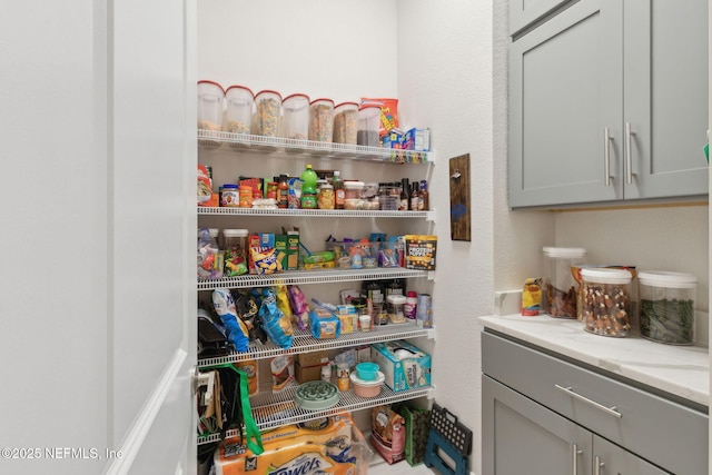 95196 Golden Glow Dr, Fernandina Beach, FL 32034 - view of pantry