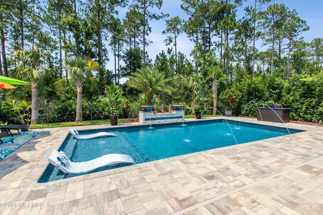 95196 Golden Glow Dr, Fernandina Beach, FL 32034 - outdoor pool featuring a patio